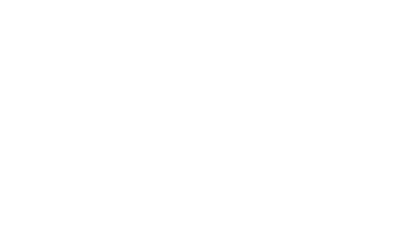 The Mess